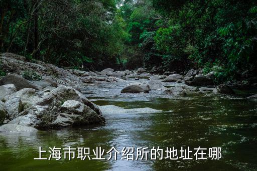 上海市職業介紹所的地址在哪