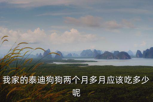 我家的泰迪狗狗兩個月多月應(yīng)該吃多少呢