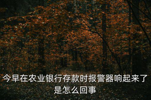 今早在農業銀行存款時報警器響起來了是怎么回事