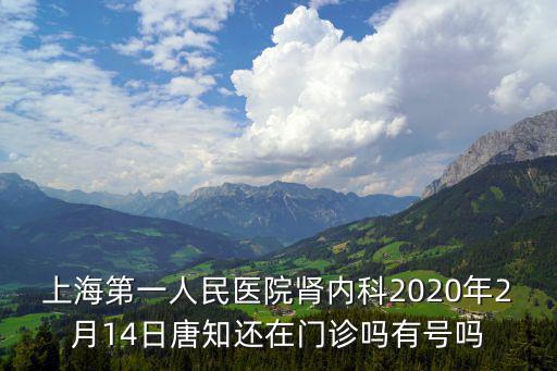 上海第一人民醫院腎內科2020年2月14日唐知還在門診嗎有號嗎