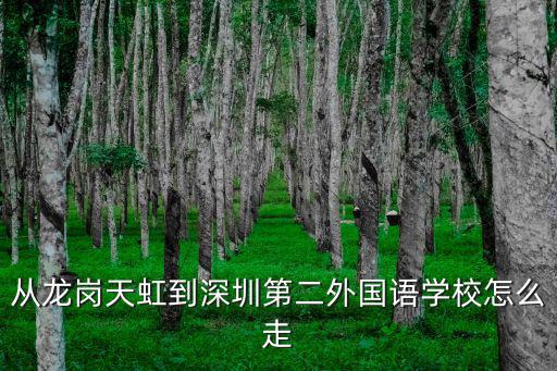 從龍崗天虹到深圳第二外國(guó)語(yǔ)學(xué)校怎么走