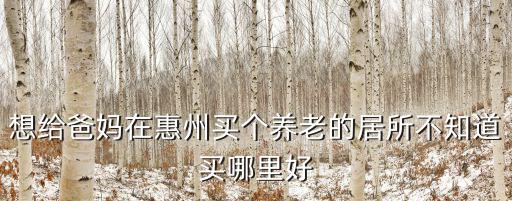 深圳人惠州買房藍光雍和園，想給爸媽在惠州買個養老的居所不知道買哪里好