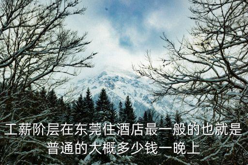工薪階層在東莞住酒店最一般的也就是普通的大概多少錢(qián)一晚上