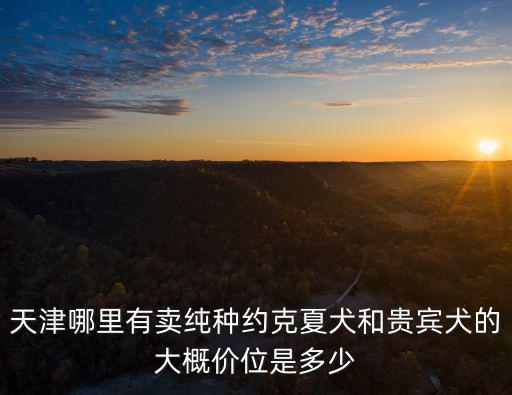 天津家養約克夏多少錢，關于天津約克夏的價格