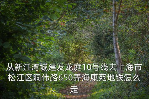 上海市松江區洞偉路，松江區洞偉媽650弄的郵政編碼是多少