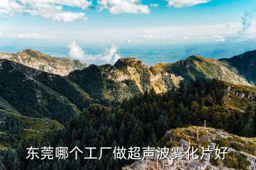 東莞哪個工廠做超聲波霧化片好