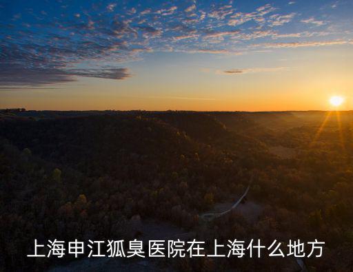上海市申江路2480號(hào)，上海申江狐臭醫(yī)院在上海什么地方