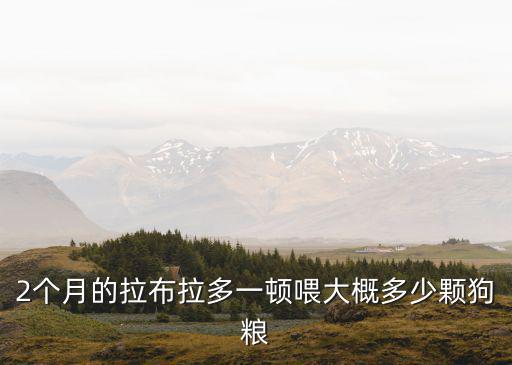 拉布拉多吃多少顆狗糧，2個月的拉布拉多一頓喂大概多少顆狗糧