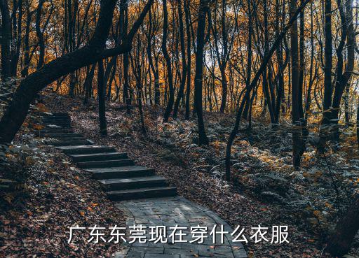 廣東東莞現(xiàn)在穿什么衣服