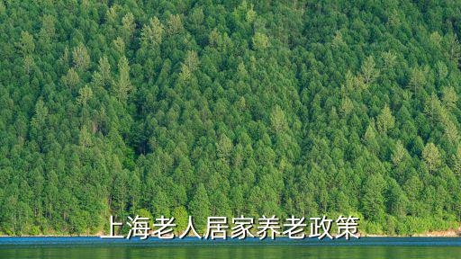 上海老人居家養老政策