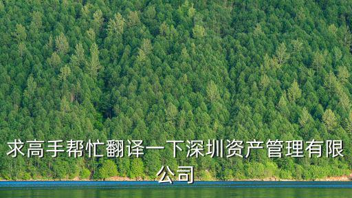 求高手幫忙翻譯一下深圳資產管理有限公司