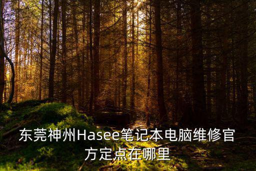 東莞神州Hasee筆記本電腦維修官方定點在哪里