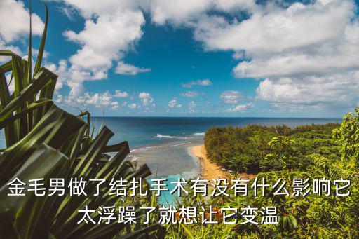 金毛男做了結扎手術有沒有什么影響它太浮躁了就想讓它變溫