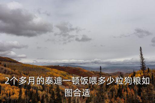 2個(gè)多月的泰迪一頓飯喂多少粒狗糧如圖合適