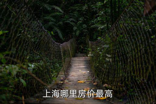 上海趙苑哪個小區房價最好，上海哪里房價最高