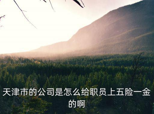 天津市的公司是怎么給職員上五險一金的啊