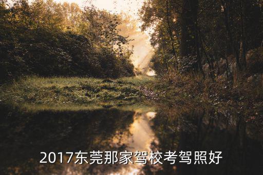 2017東莞那家駕校考駕照好
