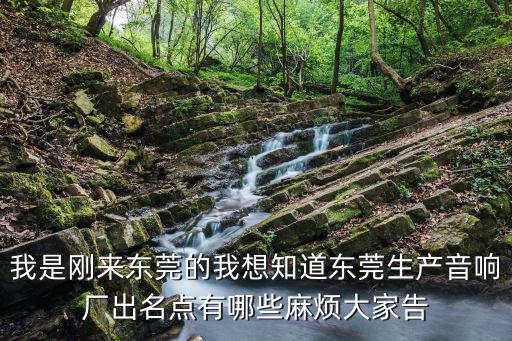 我是剛來東莞的我想知道東莞生產音響廠出名點有哪些麻煩大家告