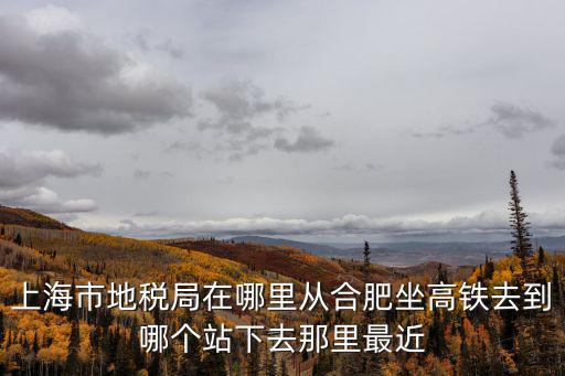 上海市地稅局在哪里從合肥坐高鐵去到哪個站下去那里最近