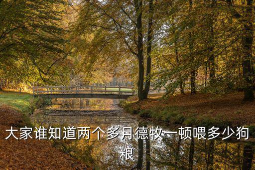 大家誰知道兩個多月德牧一頓喂多少狗糧
