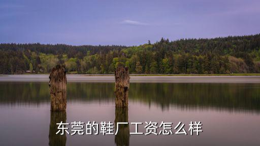 東莞的鞋廠工資怎么樣