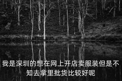 我是深圳的想在網(wǎng)上開店賣服裝但是不知去拿里批貨比較好呢