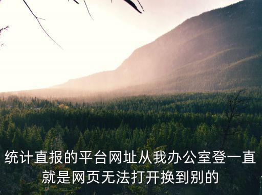 統計直報的平臺網址從我辦公室登一直就是網頁無法打開換到別的