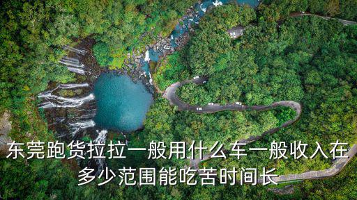 東莞跑貨拉拉一般用什么車一般收入在多少范圍能吃苦時間長