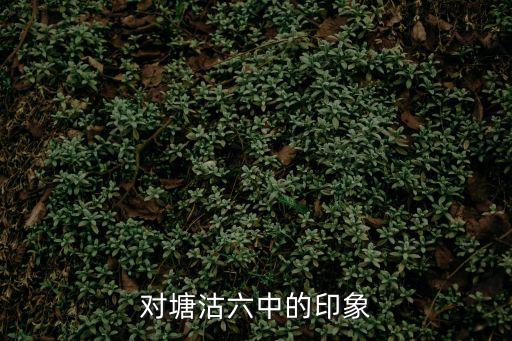 對塘沽六中的印象