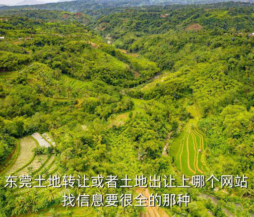 東莞土地轉(zhuǎn)讓或者土地出讓上哪個(gè)網(wǎng)站找信息要很全的那種