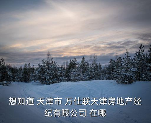 天津市吳建起，想知道 天津市 萬仕聯(lián)天津房地產(chǎn)經(jīng)紀(jì)有限公司 在哪