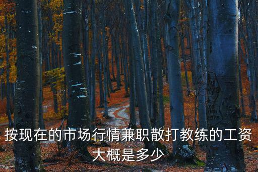 按現在的市場行情兼職散打教練的工資大概是多少