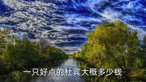 普通的杜高多少錢，一只好點(diǎn)的杜賓大概多少錢