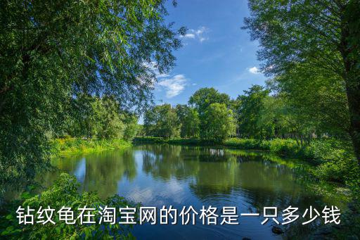 鉆紋龜在淘寶網(wǎng)的價(jià)格是一只多少錢
