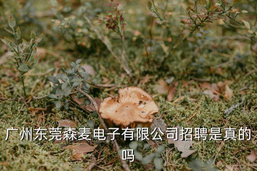 廣州東莞森麥電子有限公司招聘是真的嗎