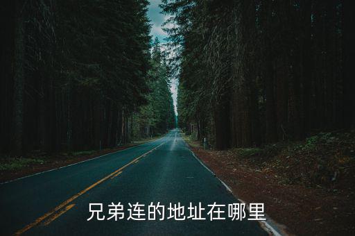 兄弟連的地址在哪里