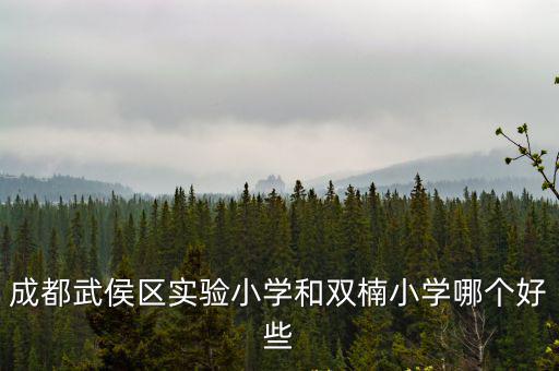 成都武侯區(qū)實(shí)驗(yàn)小學(xué)和雙楠小學(xué)哪個(gè)好些