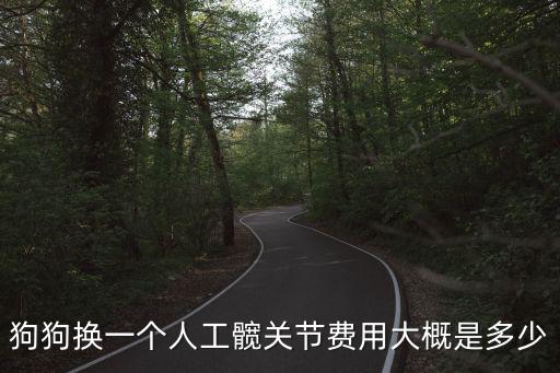 狗狗換一個人工髖關節費用大概是多少