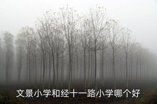 文景小學和經十一路小學哪個好