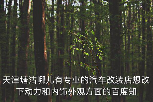 天津塘沽哪兒有專業的汽車改裝店想改下動力和內飾外觀方面的百度知
