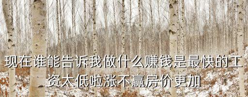 如何賺錢比房價快，現在誰能告訴我做什么賺錢是最快的工資太低啦漲不贏房價更加