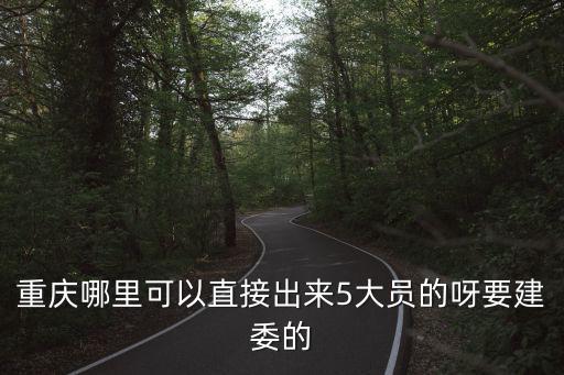重慶市建委 宣傳處，重慶哪里可以直接出來(lái)5大員的呀要建委的