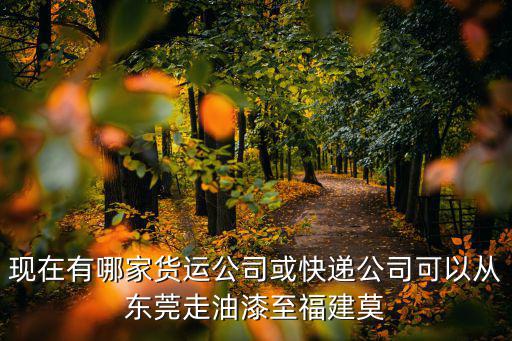 現(xiàn)在有哪家貨運(yùn)公司或快遞公司可以從東莞走油漆至福建莫