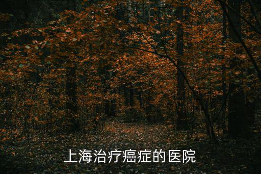 上海治療癌癥的醫院