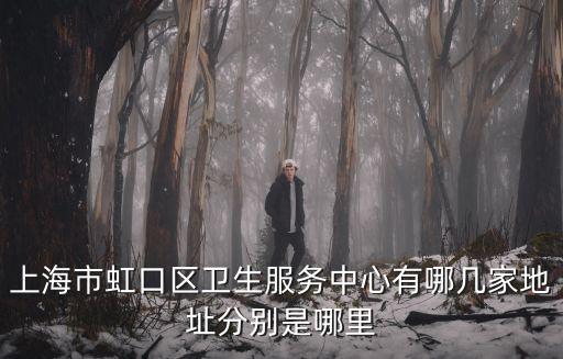 上海市虹口區衛生服務中心有哪幾家地址分別是哪里