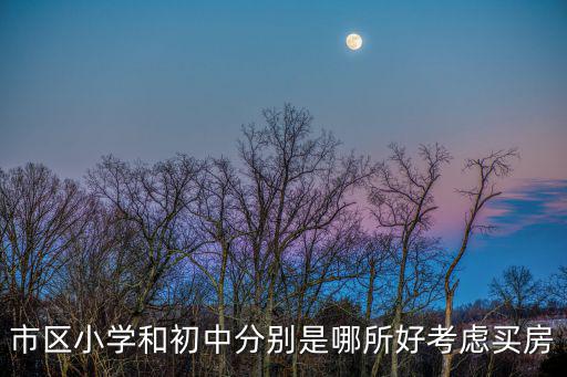 市區小學和初中分別是哪所好考慮買房
