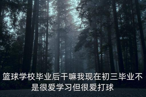 籃球?qū)W校畢業(yè)后干嘛我現(xiàn)在初三畢業(yè)不是很愛學(xué)習(xí)但很愛打球