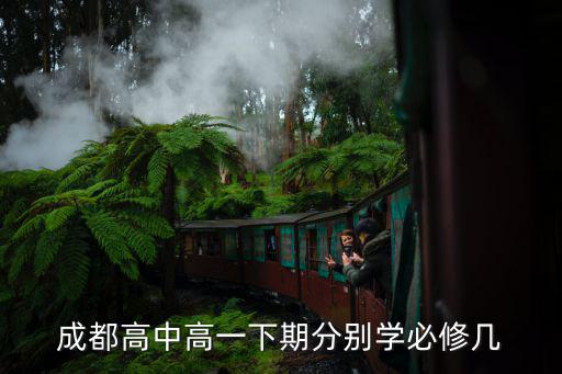 成都高中高一下期分別學(xué)必修幾