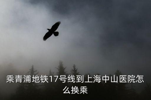 乘青浦地鐵17號(hào)線到上海中山醫(yī)院怎么換乘