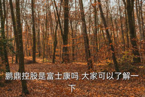 鵬鼎控股是富士康嗎 大家可以了解一下